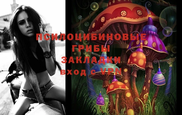 тгк Осташков