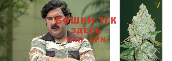 ALPHA-PVP Алексеевка