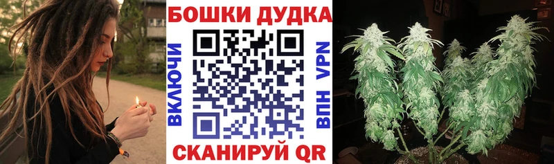 Бошки марихуана план  Устюжна 